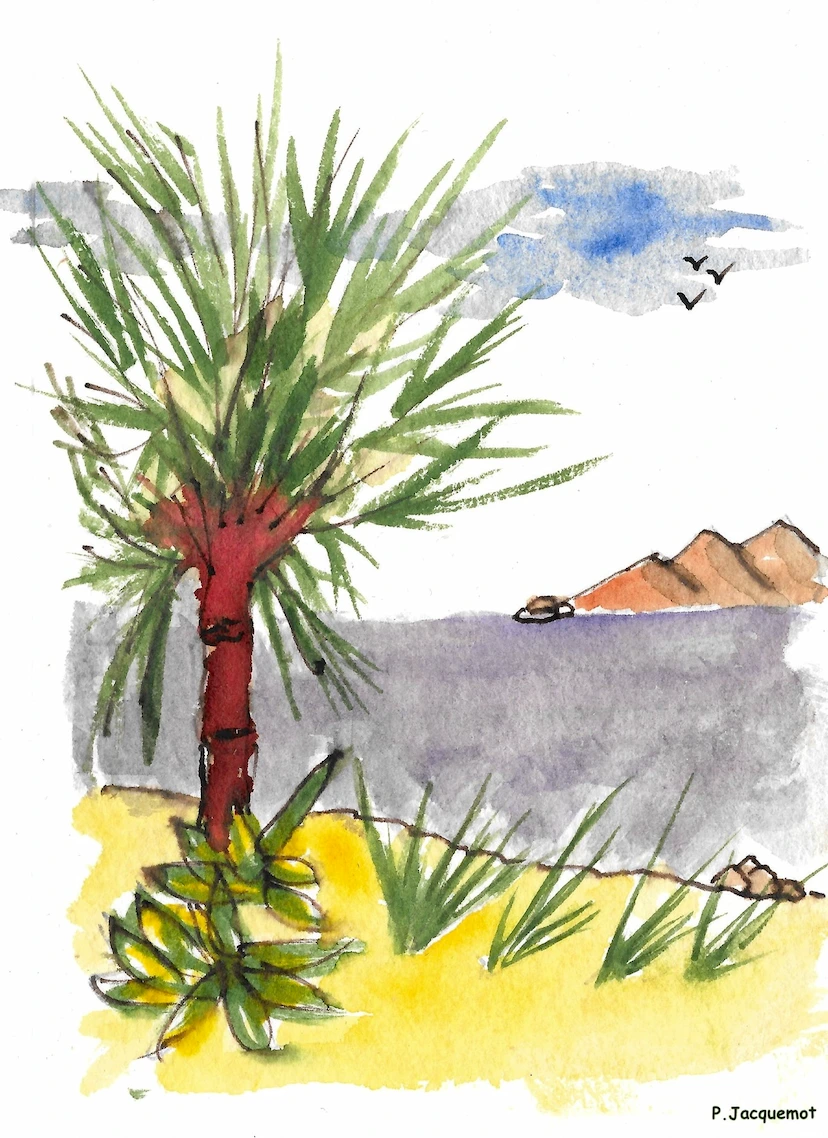 Aquarelle — un nouveau cap